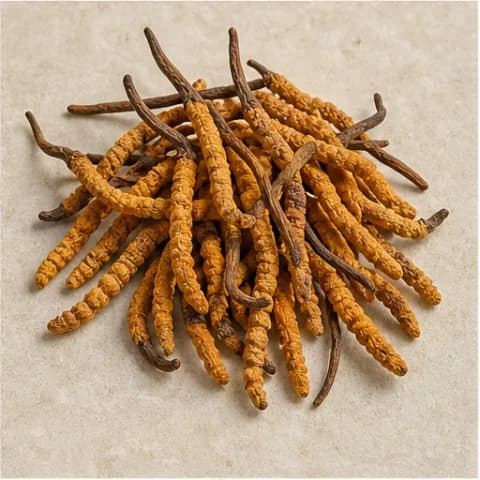 Aspetto e materia prima: Cordyceps